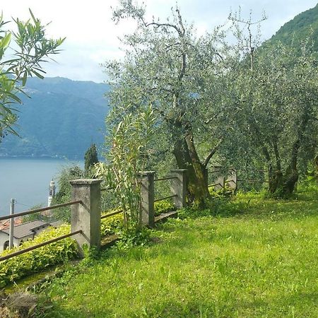Gli Ulivi Di Nesso Villa Exterior foto