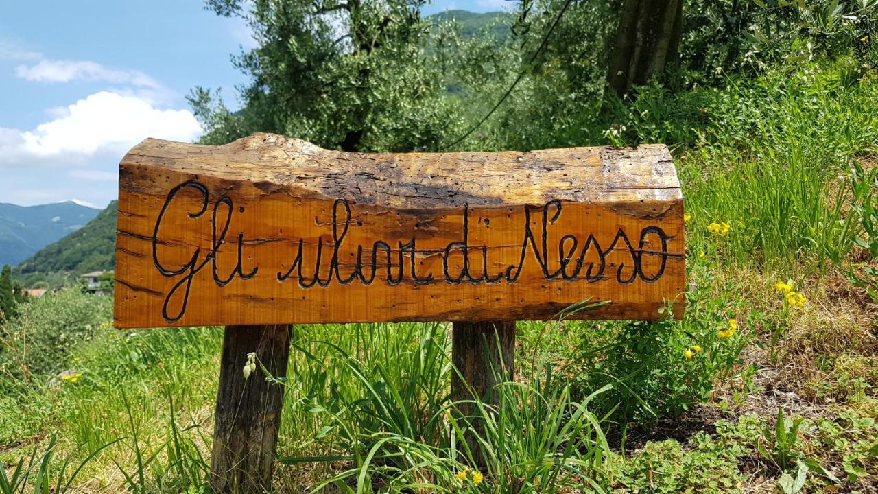 Gli Ulivi Di Nesso Villa Exterior foto