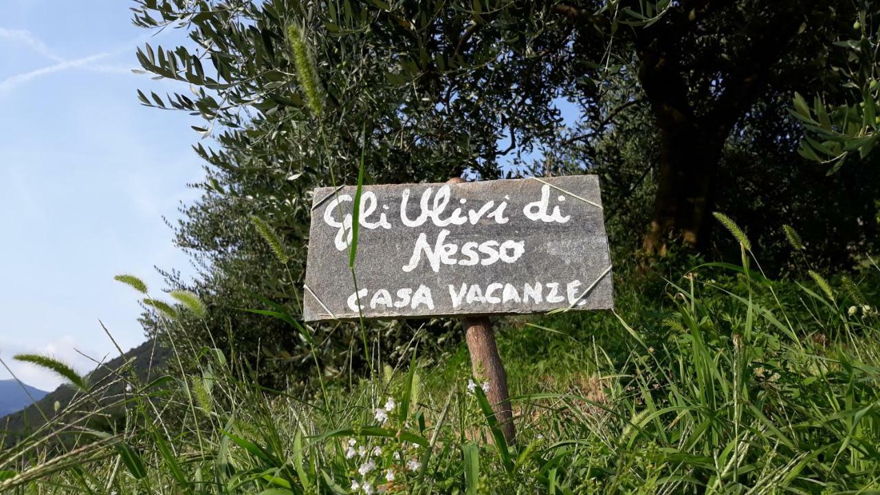 Gli Ulivi Di Nesso Villa Exterior foto